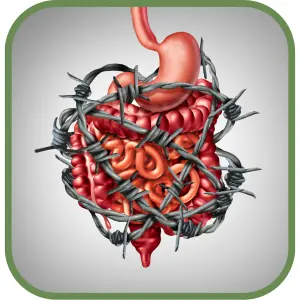 Inflammatory Bowel Disease