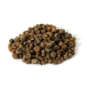 Australian Pine Tree