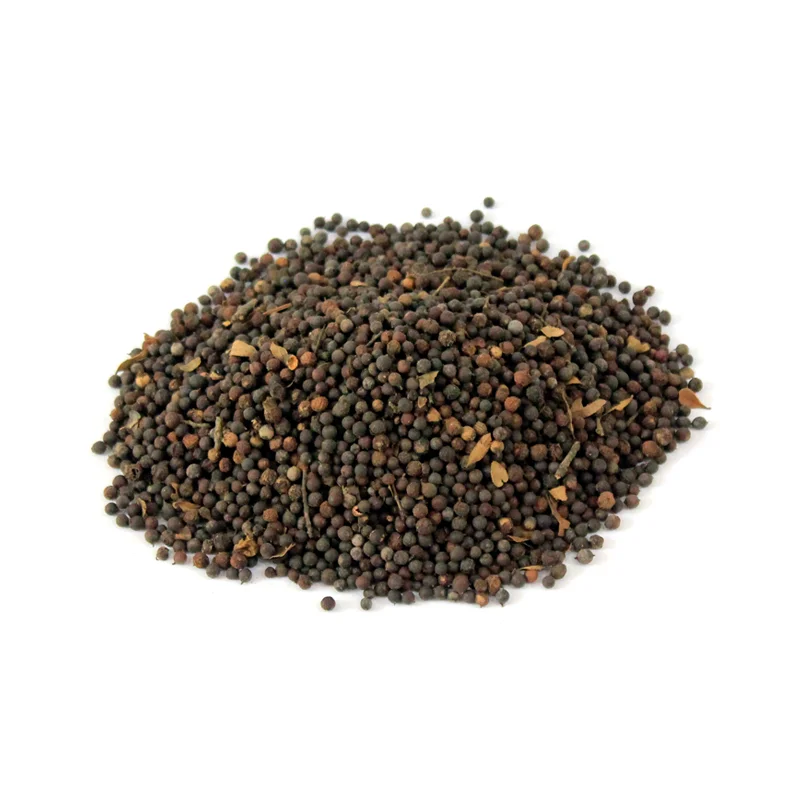False Black Pepper