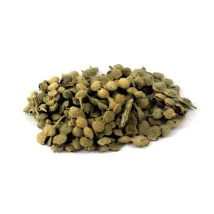 Sweet Thorn (Phalli Babool)