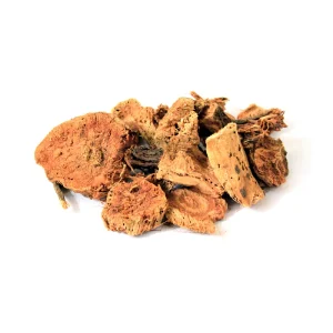 Silk Cotton Tree (Musli Senbhal)