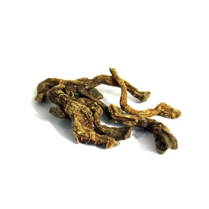 Parsnip (Siqaqal Misri)