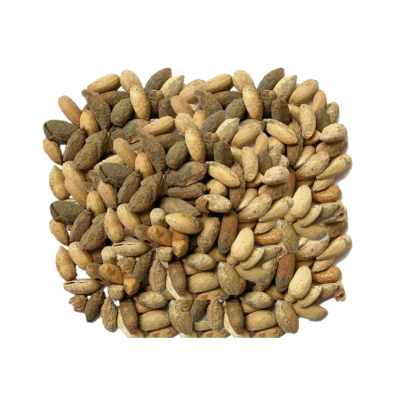 Neem Seeds (Tukhm-e-Neem)