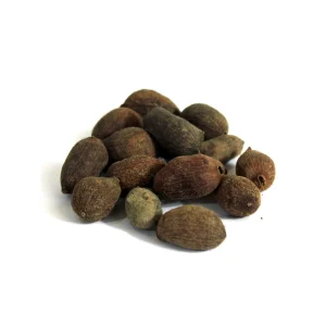 Jambolan Seeds (Tukhm-e-Jaman)