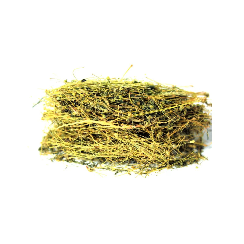 Phyllanthus (Hazar Dana)