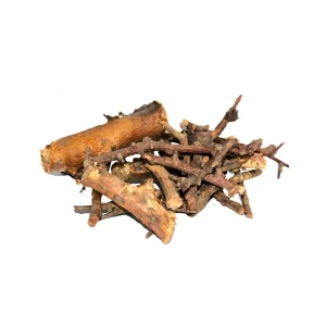 Blackeyed Susan Roots