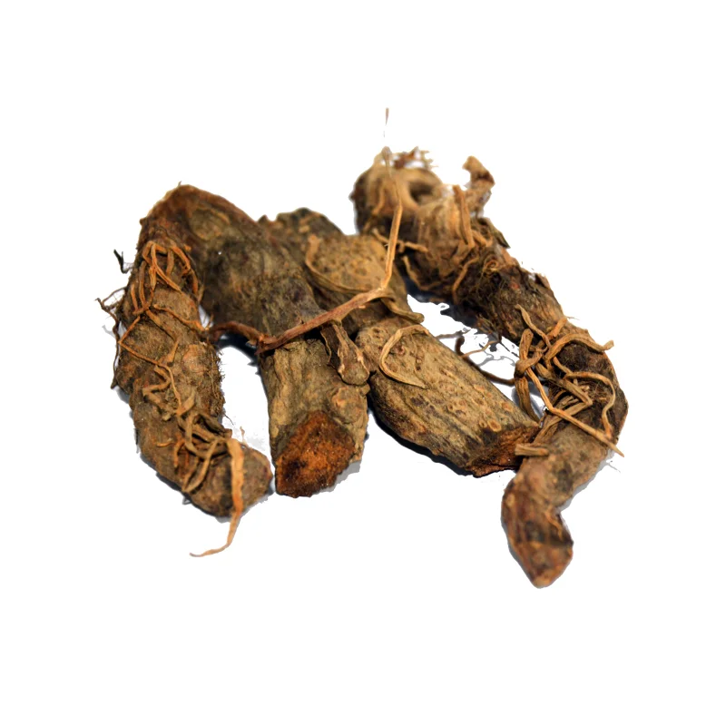 Sweet Flag (Gurbach)