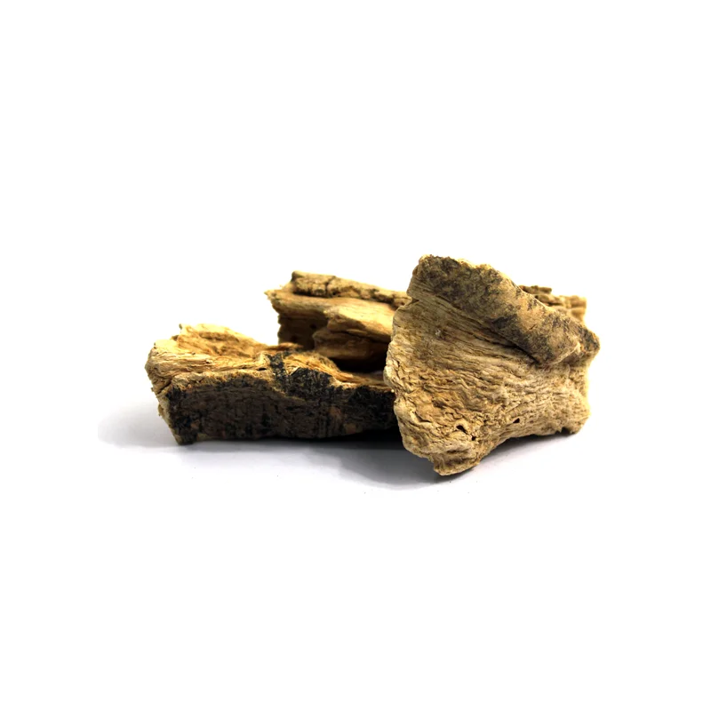 Marine Costus (Qust-e-Shireen)