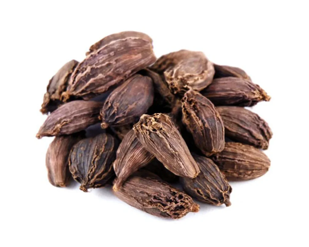 Black Cardamom (Bari Elaichi)