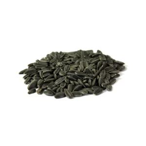 Sunflower Seeds (Tukhm-e-Suraj Mukhi)