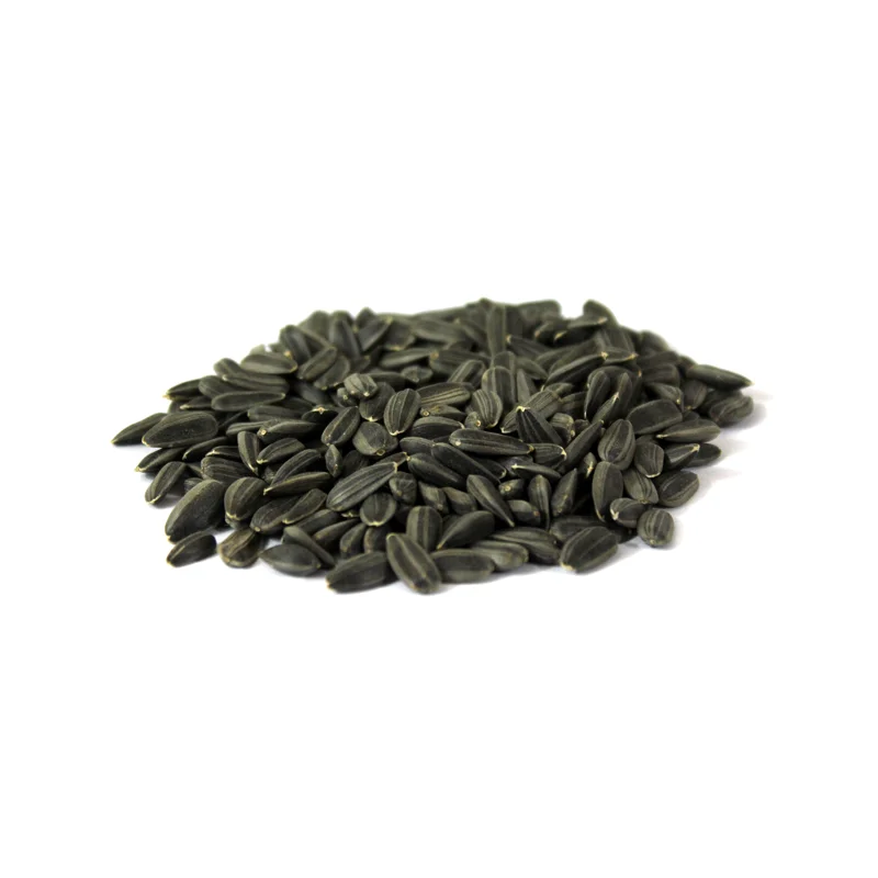 Sunflower Seeds (Tukhm-e-Suraj Mukhi)