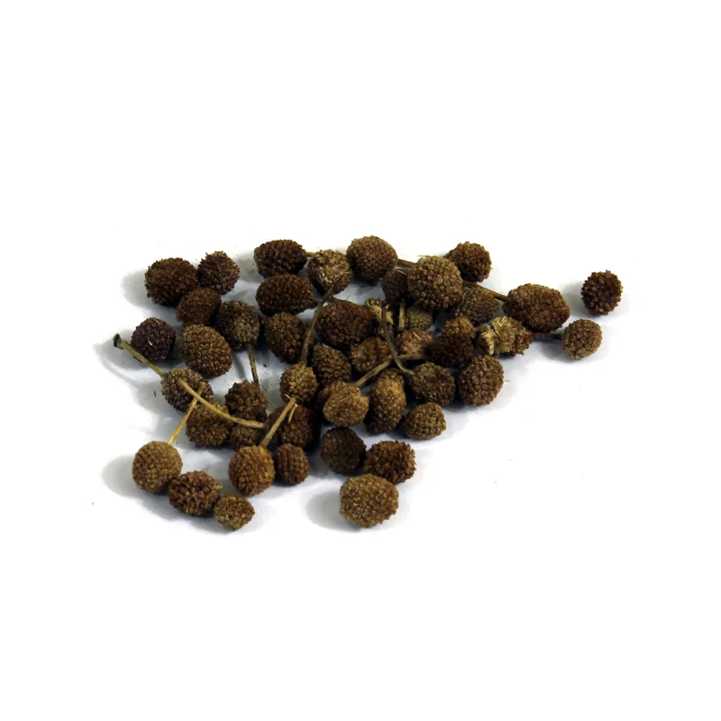 East Indian Globe Thistle