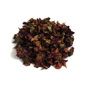 Rose Flower (Gul-e-Surkh, Gulab Ka Phool)