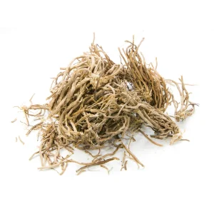Vetiver (Khus)