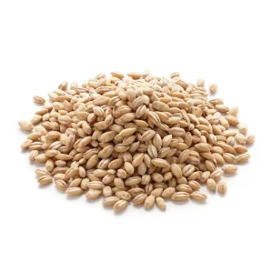 Barley